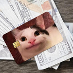 Funny crying cat meme credit card skin pack, Mind Art Atelier, photo 10
